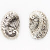 Venus Ear aka Perlemoen Stud Earrings (Sterling Silver)